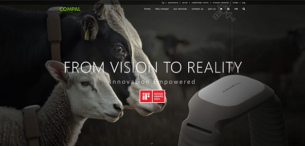 swati agarwal,front end developer,website making,seo expert, web development