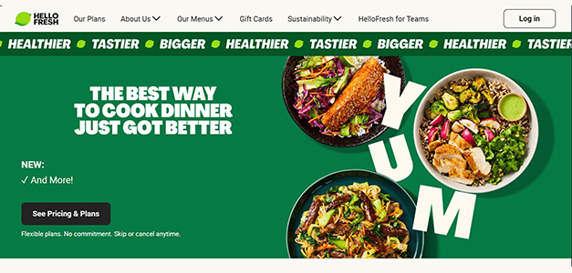 swati agarwal,front end developer,website making,seo expert, web development,web froms,js,css